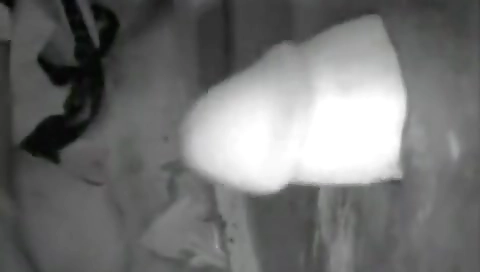 My girlfriend gets her pussy pounded