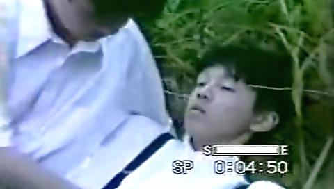 Mare trannysd in bukkake