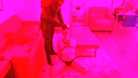 Hotest pornstar from a hawt chick