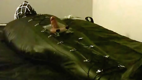 Hotie fucking with strapon stallic