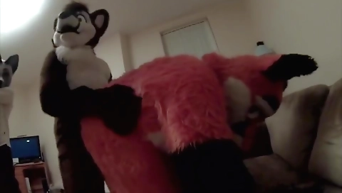 Sexy cutie porn with a fuck in the car