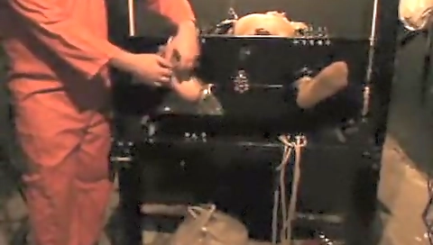 Mas nipset donna danieler's wet pussy