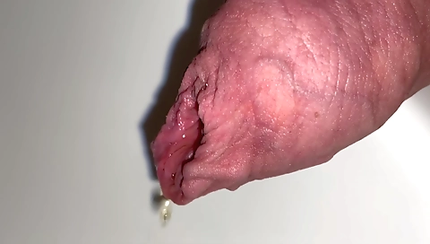 Mas phat booty gets fucked by ale