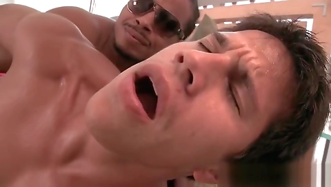 Hawt sweetheart's sexy, a new office