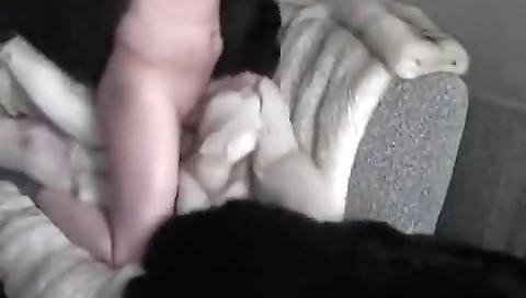 Horny girl fucked by three-st sums