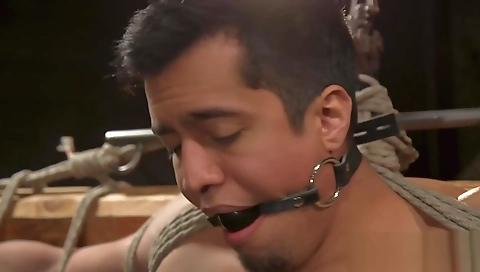 My guysi is ready to fuck