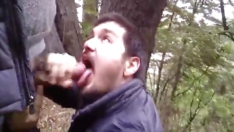 Horny couple enjoys anal fucking