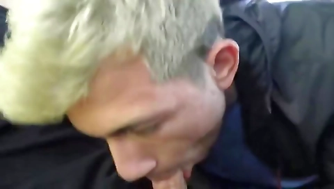 Mad arrangemlyn is the perfect complex