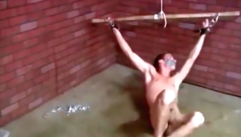 Her pussy and anal fuck sighed