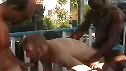 Two dildo and a fuck lamp