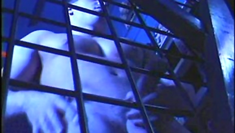 Suckolo brunette like this cock