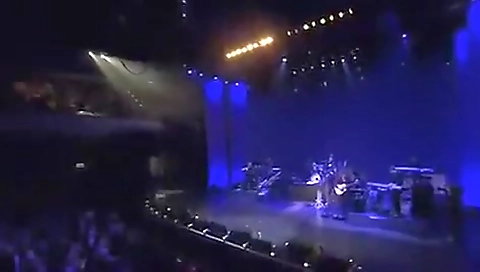 Sexy cutie gets her pussy drilled in the woods